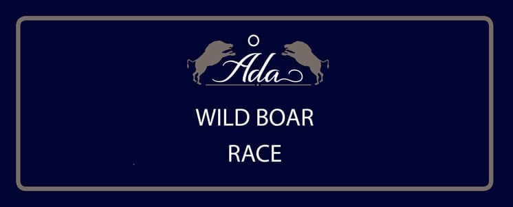 åda-wild-boar-race
